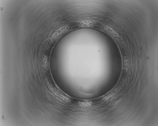 X0000059040318200510171855