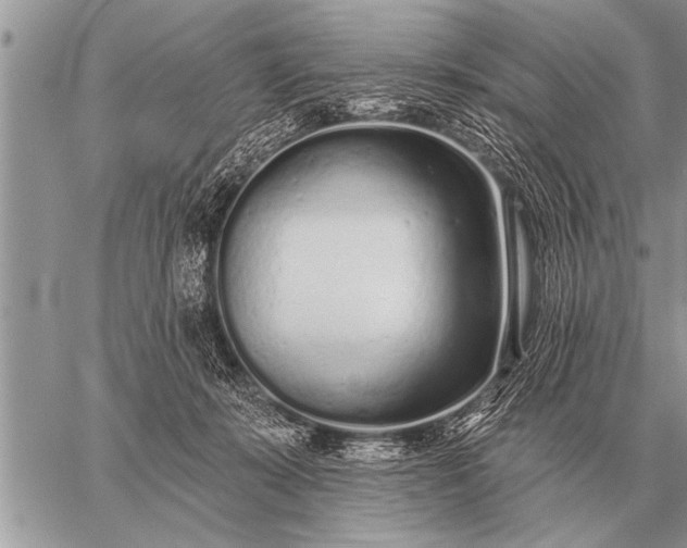 X0000059040319200510171855