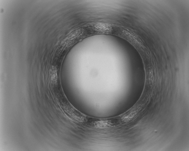 X0000059040320200510171855