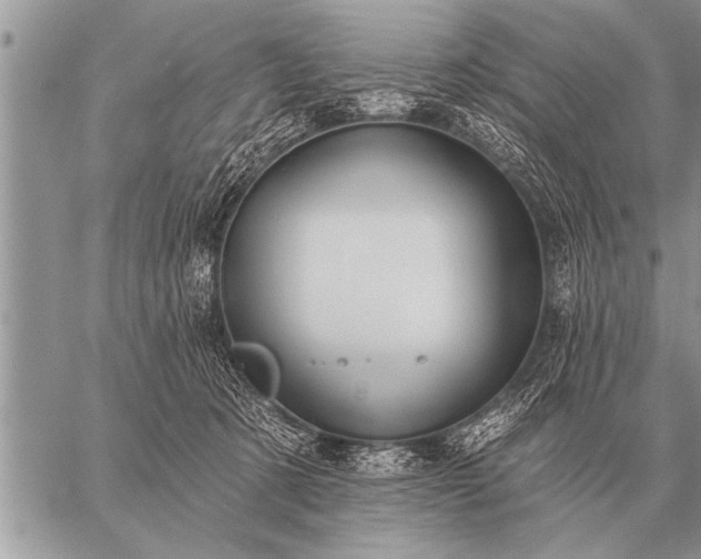 X0000059040321200510171855