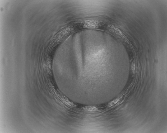 X0000059040322200510171855