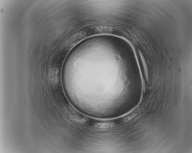 X0000059040323200510171855