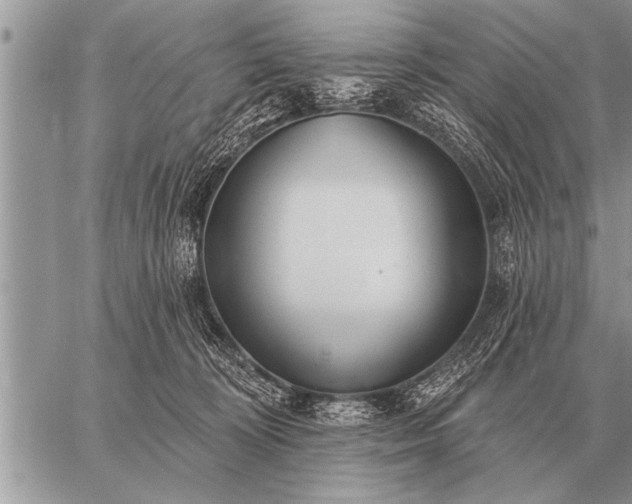 X0000059040324200510171855