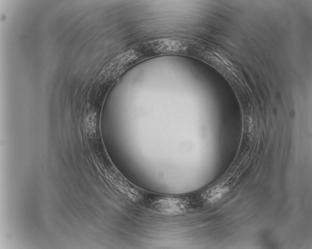 X0000059040326200510171855