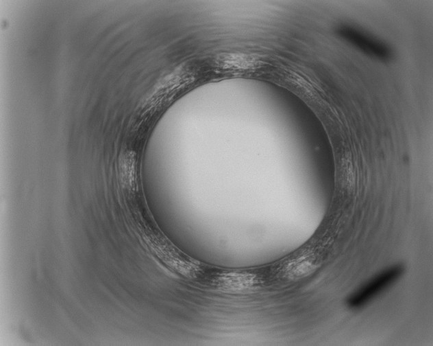 X0000059040328200510171855