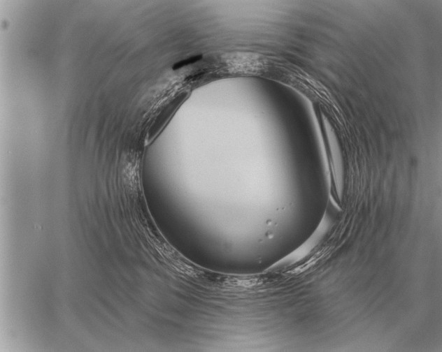 X0000059040329200510171855