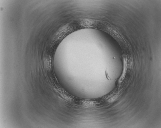 X0000059040332200510171855