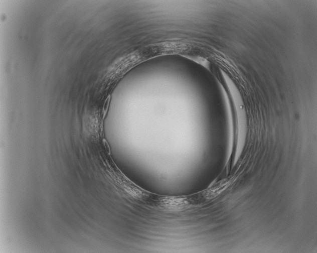 X0000059040333200510171855