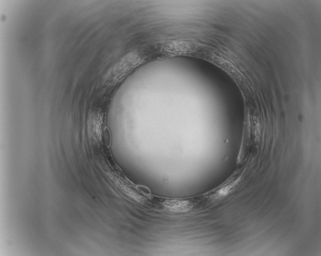 X0000059040334200510171855