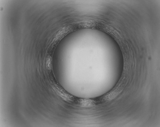 X0000059040336200510171855