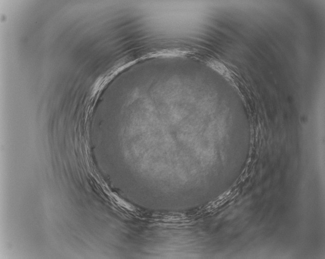 X0000059040337200510171854