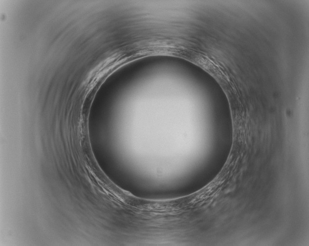 X0000059040338200510171854