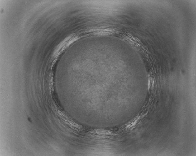 X0000059040339200510171854