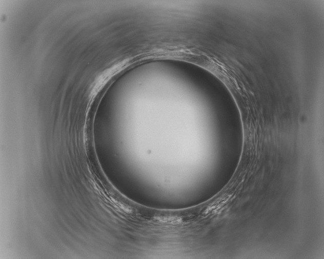 X0000059040340200510171854