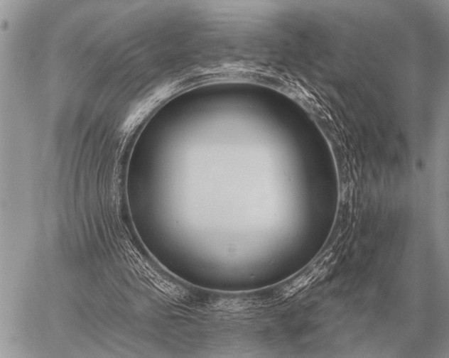 X0000059040341200510171854