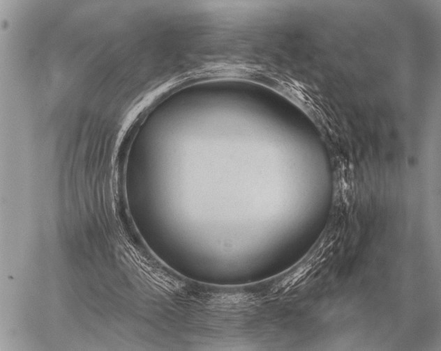 X0000059040342200510171854