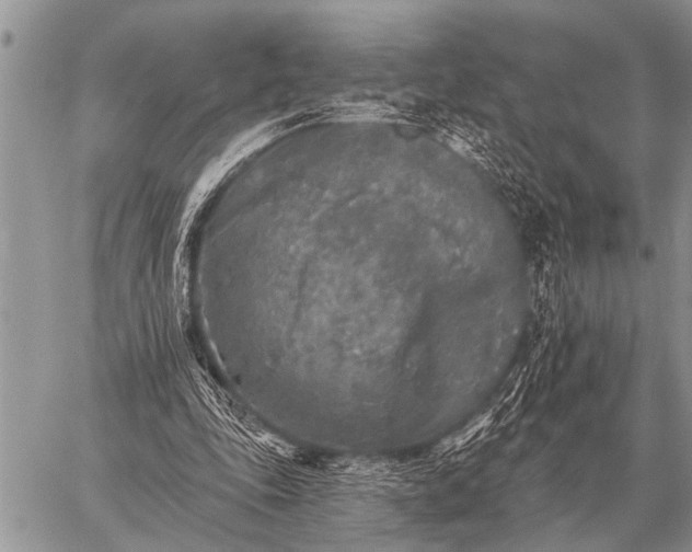 X0000059040343200510171854