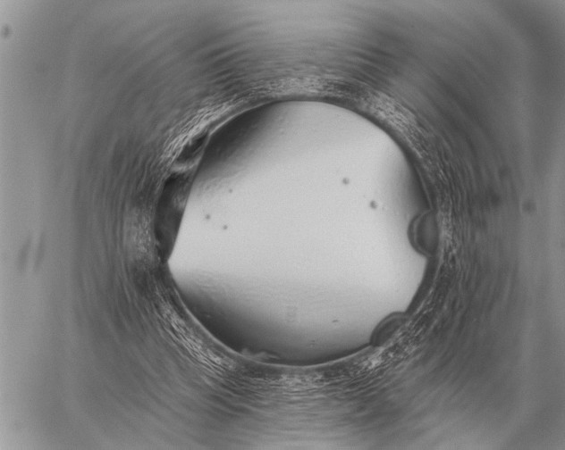 X0000059040345200510171854