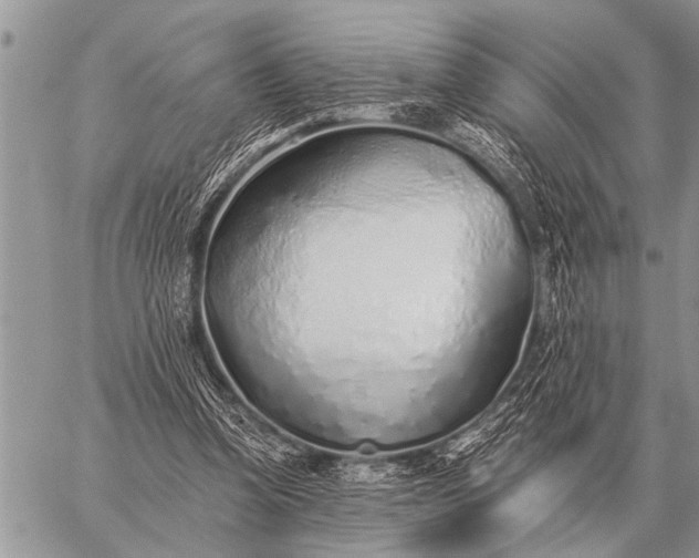 X0000059040346200510171854