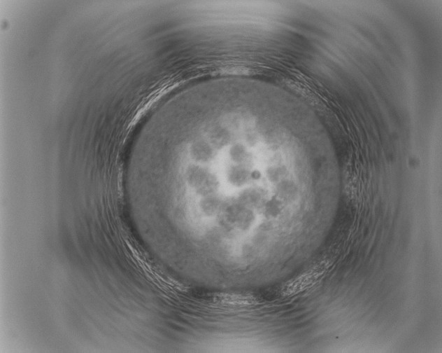 X0000059040347200510171854