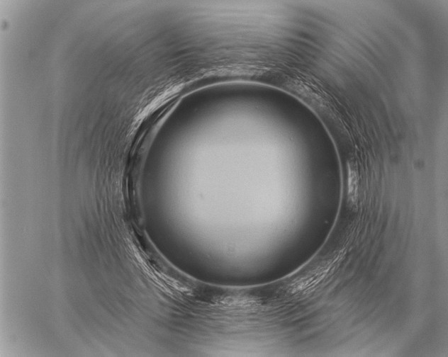 X0000059040348200510171854