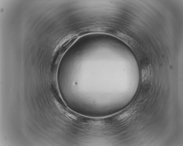 X0000059040349200510171854