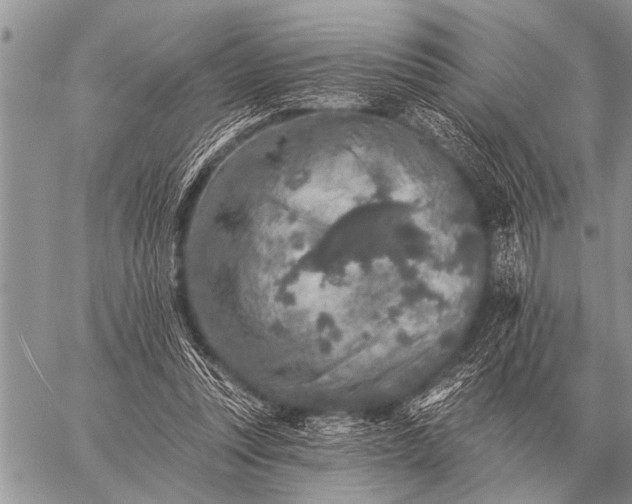 X0000059040351200510171854