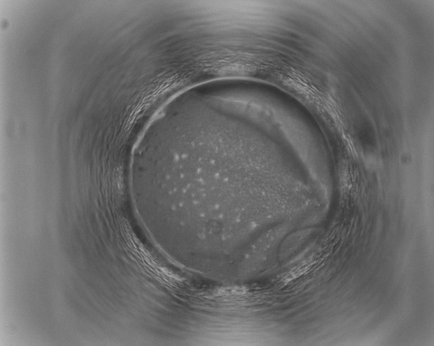 X0000059040353200510171854