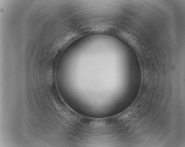 X0000059040354200510171854