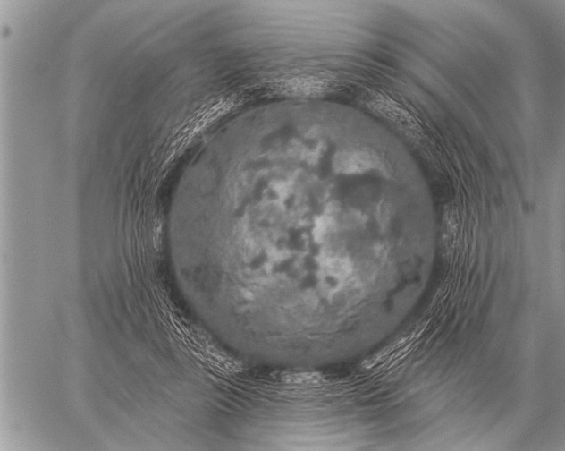 X0000059040355200510171854