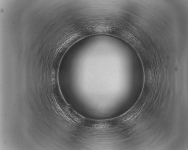 X0000059040356200510171854