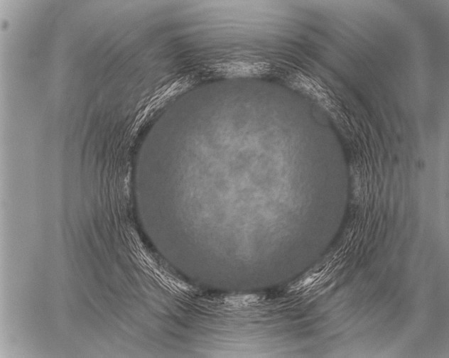 X0000059040357200510171854