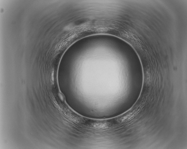 X0000059040358200510171854