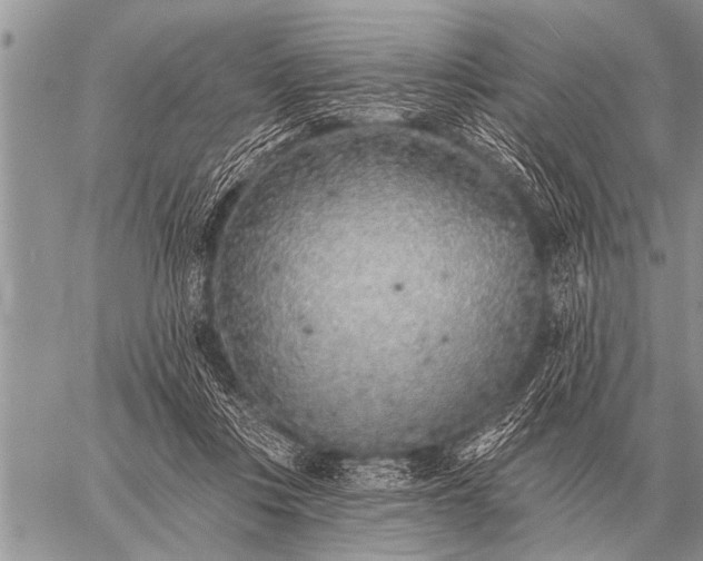 X0000059040359200510171854