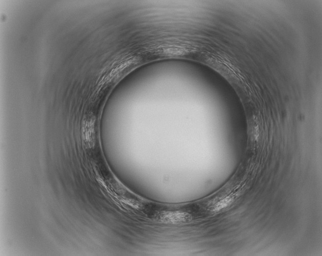 X0000059040360200510171854