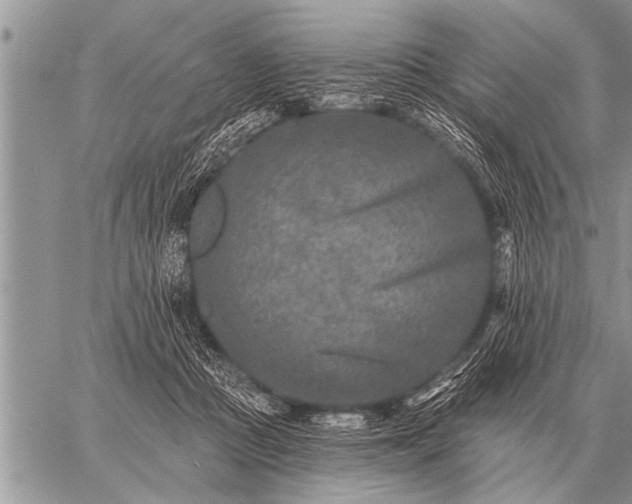 X0000059040361200510171854