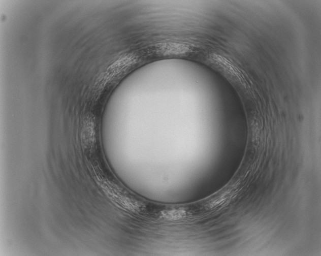 X0000059040362200510171854