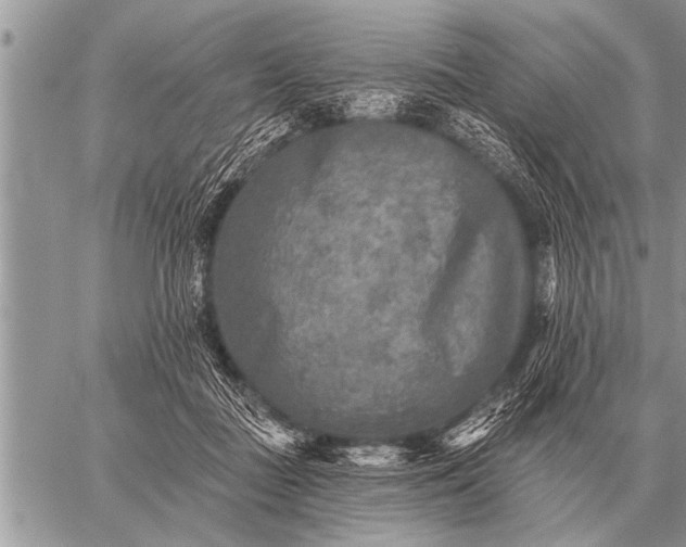 X0000059040363200510171854