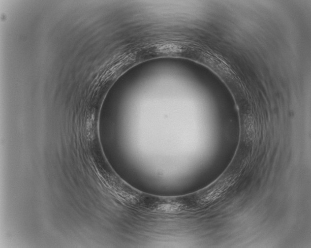 X0000059040364200510171854