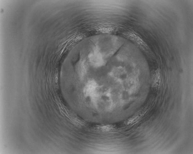 X0000059040365200510171854