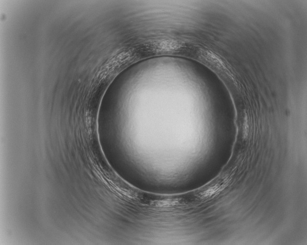 X0000059040366200510171854