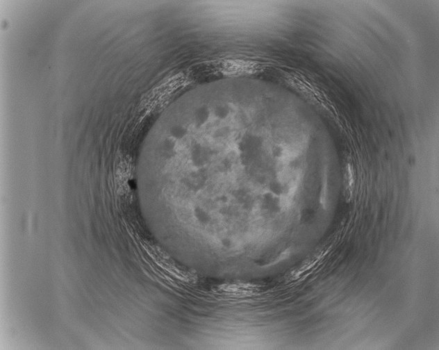 X0000059040367200510171854