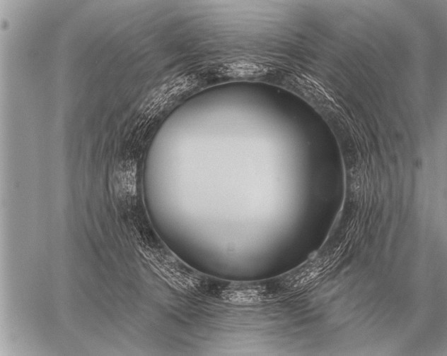 X0000059040368200510171854