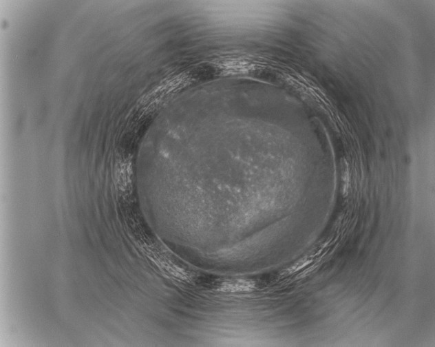 X0000059040369200510171854