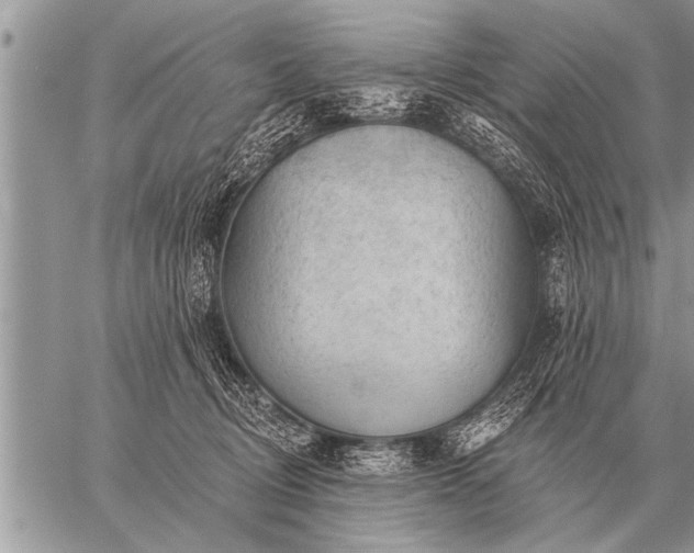 X0000059040370200510171854