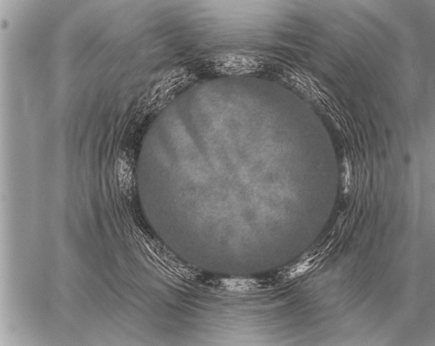 X0000059040371200510171854