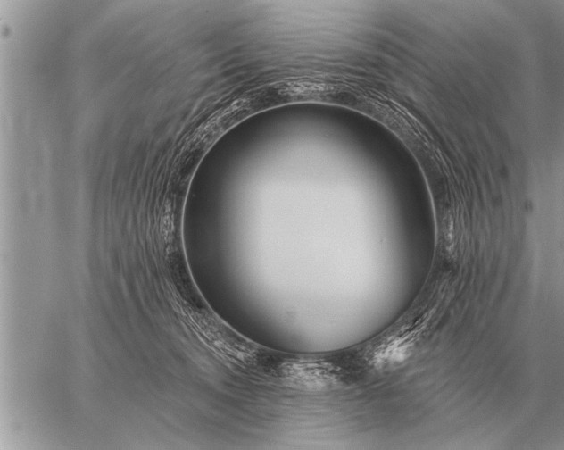 X0000059040372200510171854