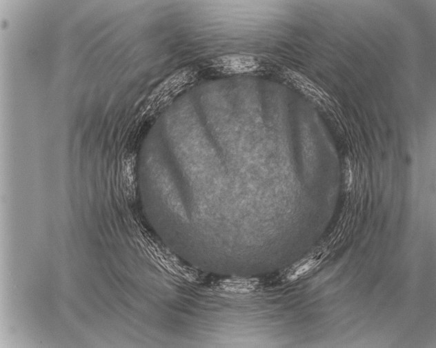 X0000059040373200510171854