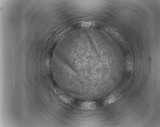 X0000059040375200510171854