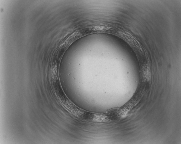 X0000059040376200510171854